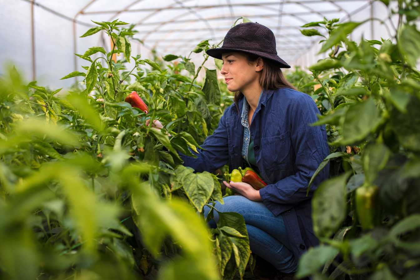 agriaffaire-plateforme-agricole-3