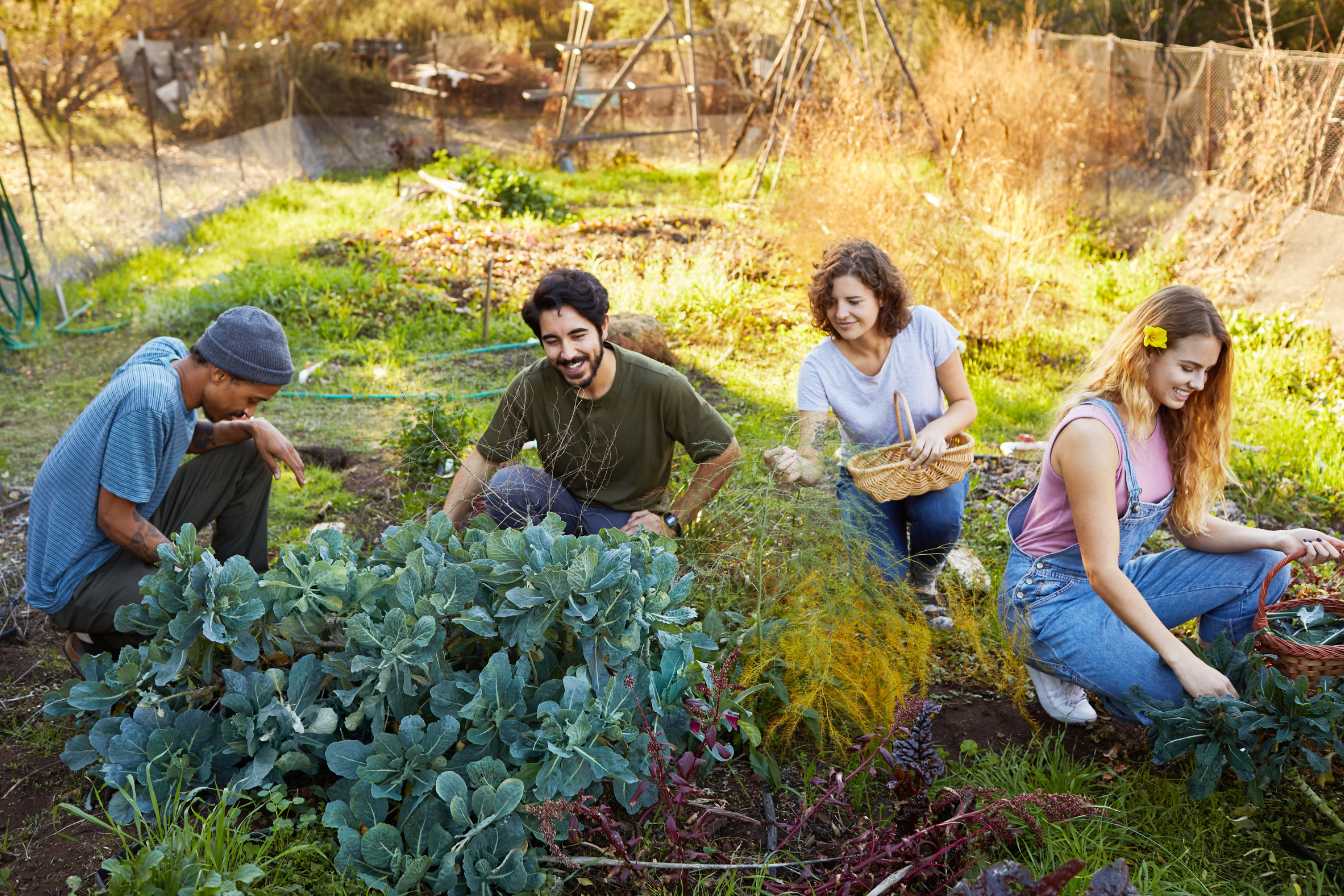 classement-ecoles-communication-3