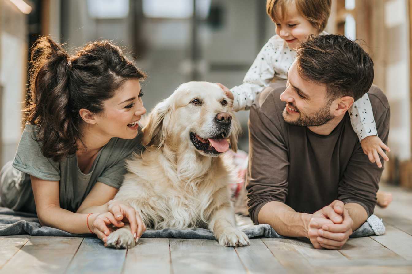 devenez-vdi-vendeur-a-domicile-2